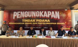 Hutan Pesisir Jadi Tempat Persembunyian