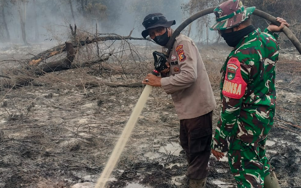 Luas Karhutla Siak Capai 273 Hektare, Kementerian Kehutanan Siapkan Strategi Khusus