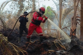 Pukul Kepala Api: Strategi Tim Gabungan Redam Amuk Karhutla di Bengkalis  