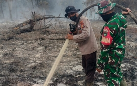 Luas Karhutla Siak Capai 273 Hektare, Kementerian Kehutanan Siapkan Strategi Khusus
